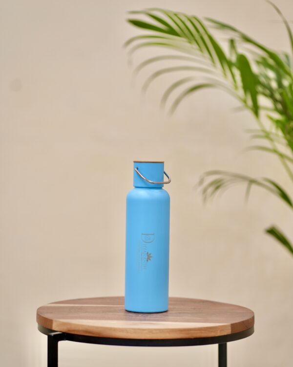 Premium Thermal Bottle