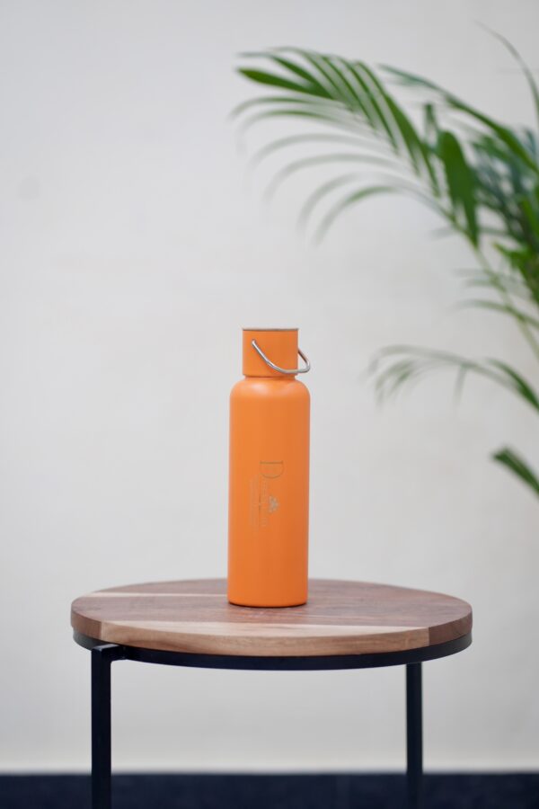 Premium Thermal Water Bottle - Image 6