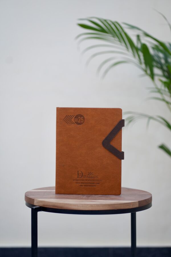 Velvet Premium Diary – 300 Pages of Luxury & Mindful Writing